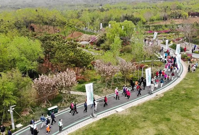 4月27日，登山爱好者在浮山森林公园参加登山健身活动（无人机照片）。新华社记者 李紫恒摄